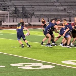 Meet your Posher, Brady